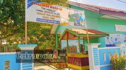 Pagar SD 18 Babbabulo Majene Rusak, Hewan Ternak Ganggu Aktivitas Sekolah
