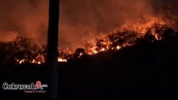 Kebakaran Hutan dan Lahan di Sumare Mamuju, Tim Gabungan Patroli Antisipasi Susulan