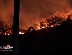Kebakaran Hutan dan Lahan di Sumare Mamuju, Tim Gabungan Patroli Antisipasi Susulan