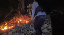 Puluhan Hektare Lahan Terbakar di Sumare, Tim Gabungan Berjibaku Padamkan Api