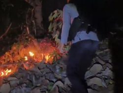 Puluhan Hektare Lahan Terbakar di Sumare, Tim Gabungan Berjibaku Padamkan Api