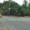 Pelaksanaan Proyek Jalan Karossa – Topoyo, Diharap Ada Percepatan