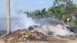 Pengguna Jalan Keluhkan Sisa Pembakaran Diduga Limbah Dekat PT. Surya Raya Lestari 2